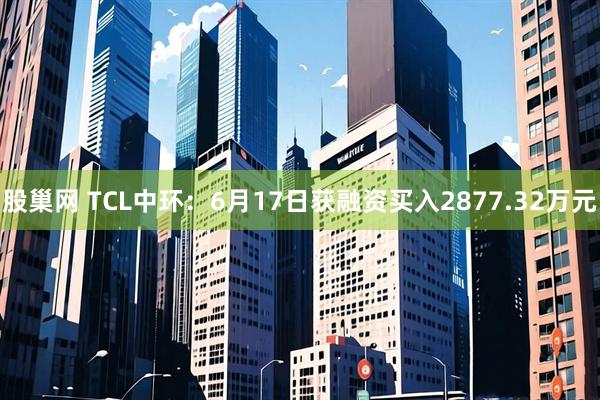 股巢网 TCL中环：6月17日获融资买入2877.32万元