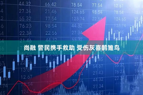 尚融 警民携手救助 受伤灰喜鹊雏鸟