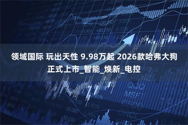 领域国际 玩出天性 9.98万起 2026款哈弗大狗正式上市_智能_焕新_电控